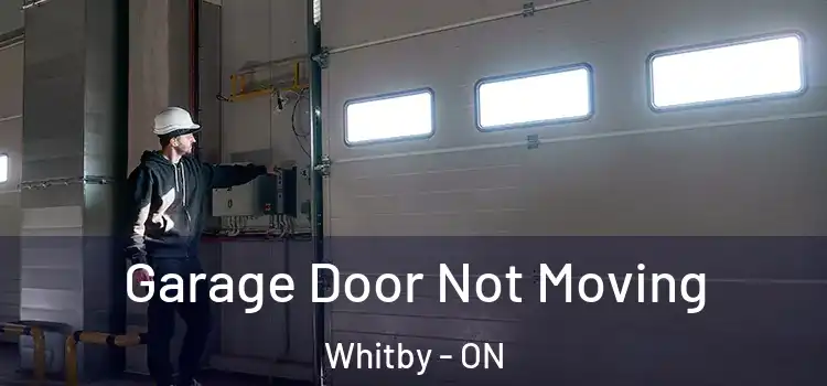  Garage Door Not Moving Whitby - ON